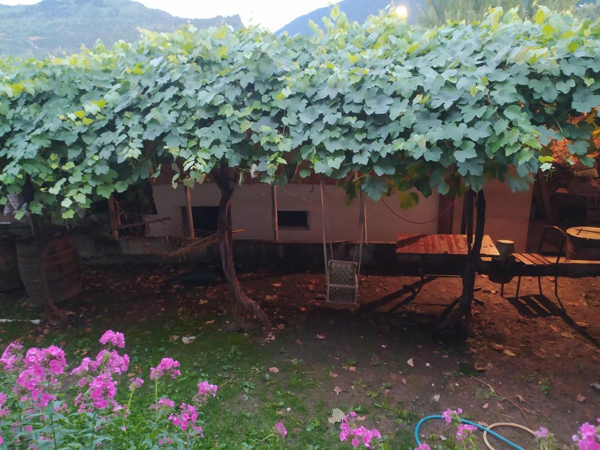 Guest House Nene Mestia Exterior foto